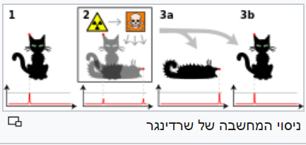 החתול של שרדינגר והיטל השבחה לתכנית מתאר כוללנית